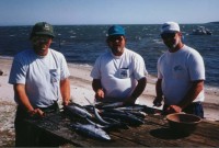 Highlight for Album: Capt Jerry's Photo Gallery