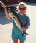 Lucie Long caught this 2nd place USAA bluefish while fishing with Capt. Jerry.